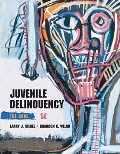 Juvenile Delinquency: The Core (5th Edition) - eBook