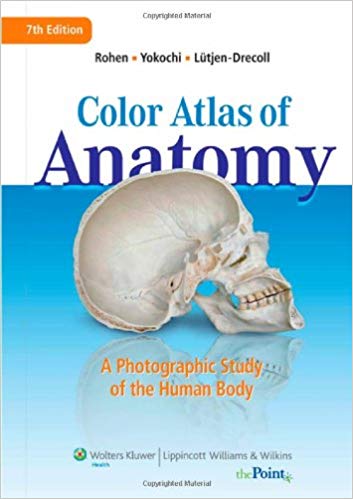 Color Atlas of Anatomy: A Photographic Study of the Human Body (7th Edition) - eBook