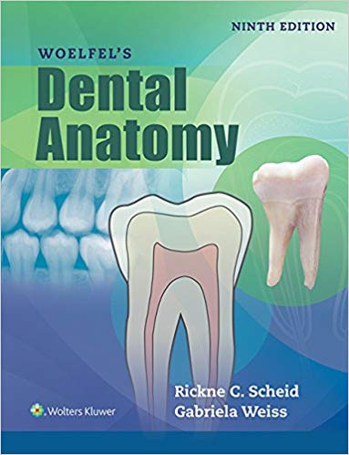 Woelfels Dental Anatomy (9th Edition) - eBook