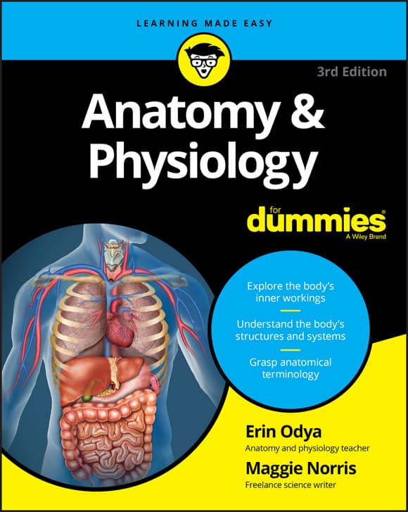 Anatomy and Physiology dummies 3e pdf