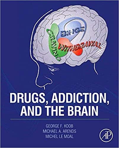 Drugs, Addiction, and the Brain - eBook