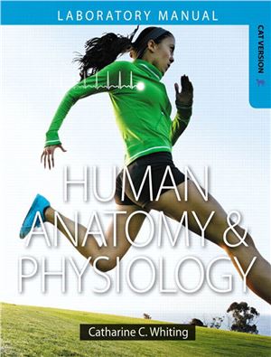 Human Anatomy and Physiology Laboratory Manual: Making Connections, Cat Version - eBook
