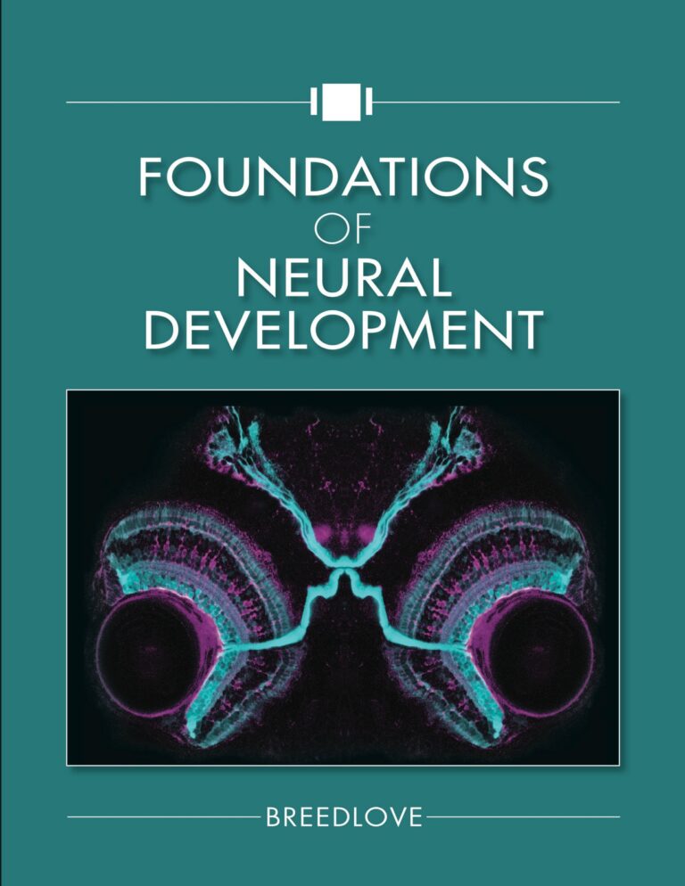 Foundations of Neural Development - eBook