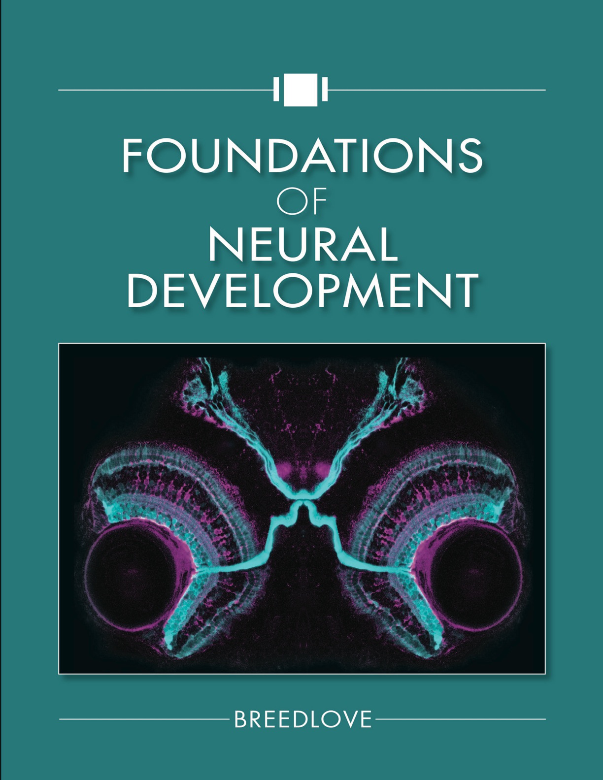 Foundations of Neural Development - eBook