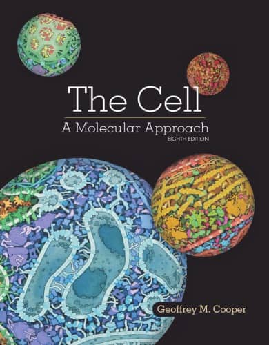 The Cell: A Molecular Approach (8th Edition) - eBook