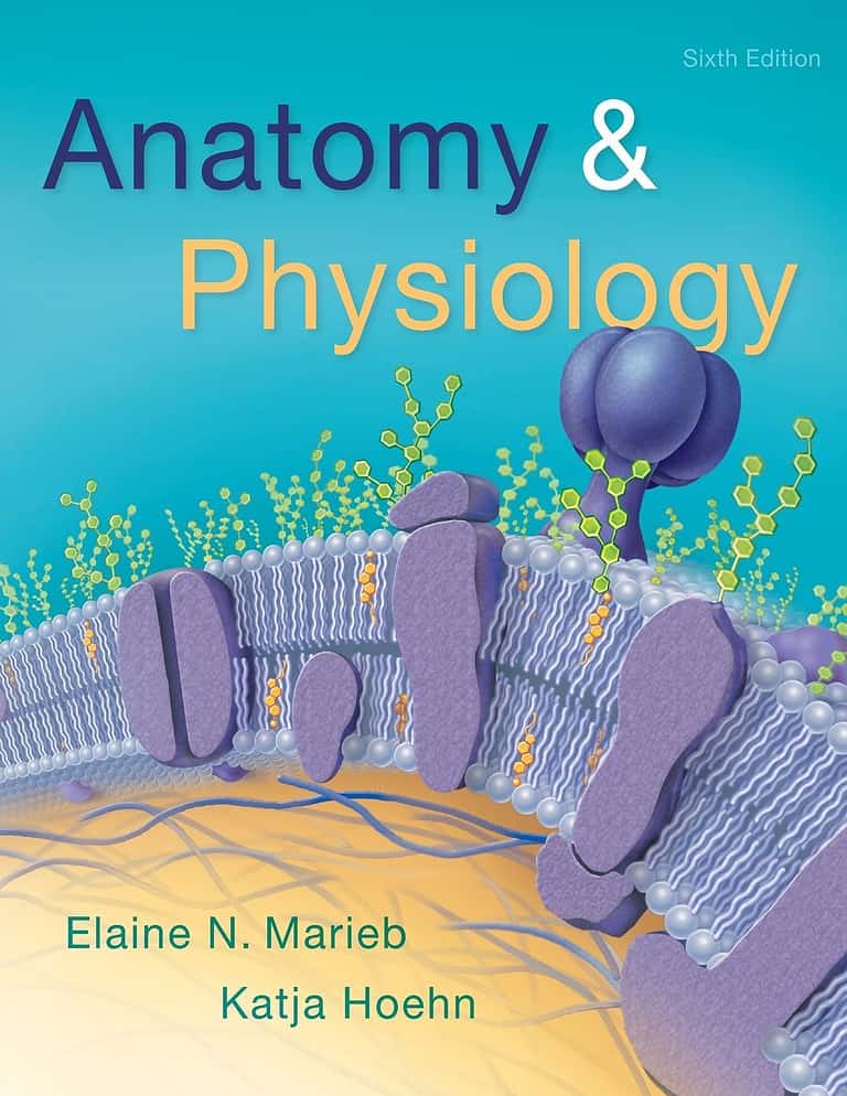 Anatomy and Physiology (6th Edition) - eBook